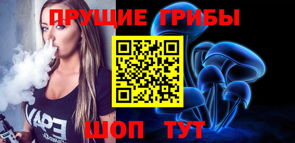 Клинцы  Псилоцибиновые грибы мицелий  Вход с VPN 